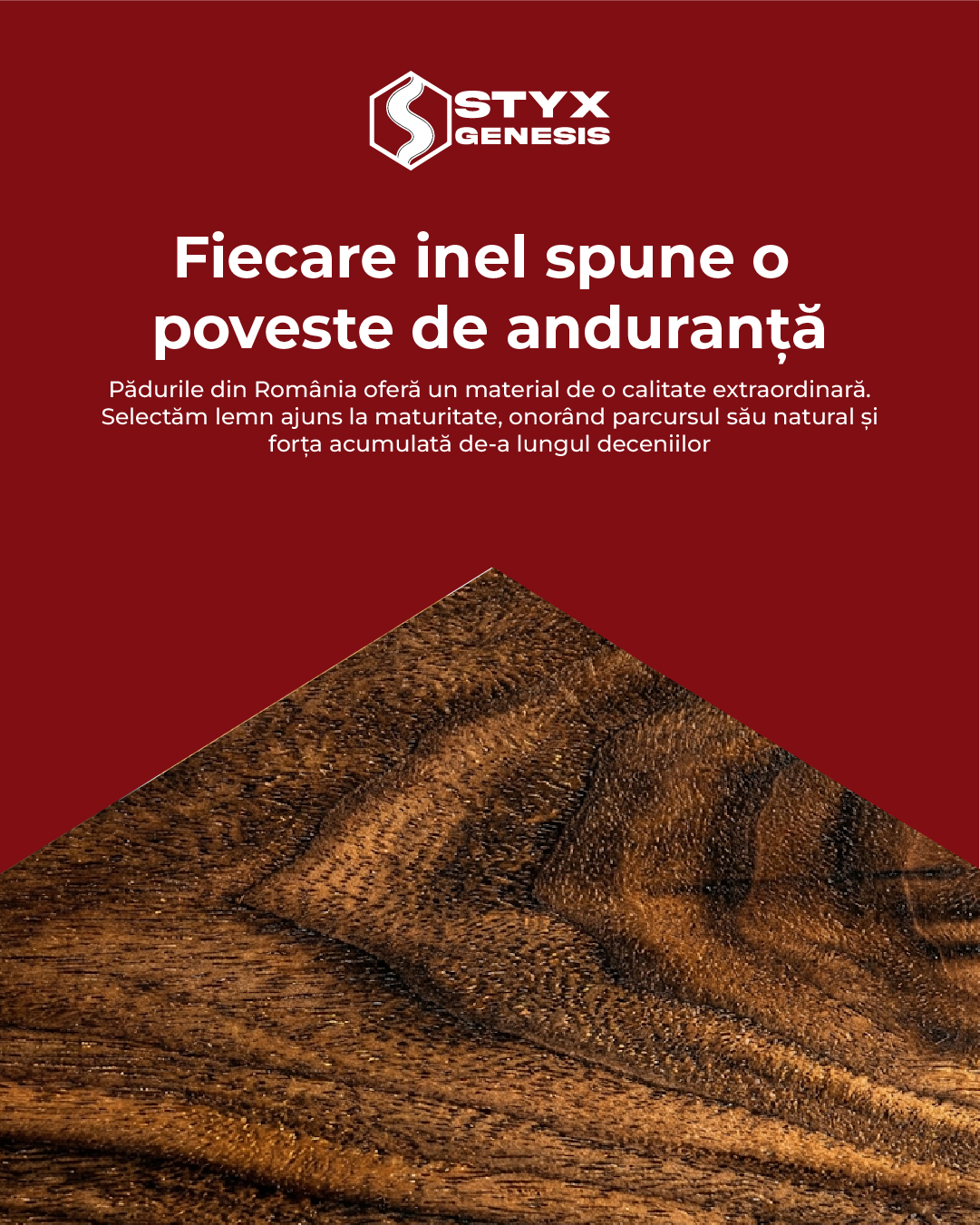 Lemn cu fibră expresivă din peisajul Moldovei